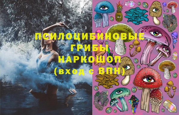 дмт Новозыбков