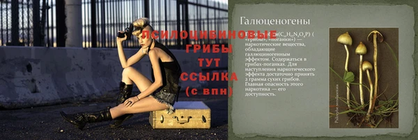 дмт Новозыбков