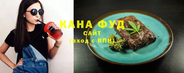 дмт Новозыбков
