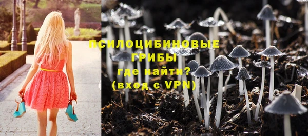 тгк Покровск