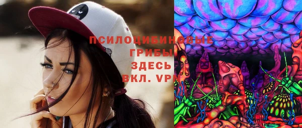 трава Покачи