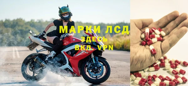 дмт Новозыбков