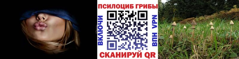 Псилоцибиновые грибы мухоморы  Лобня 