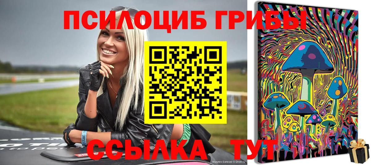 Галлюциногенные грибы Psilocybe  сколько стоит  Лобня  Вход с VPN 