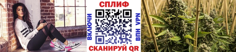 Бошки Шишки SATIVA & INDICA  хочу   Лобня 