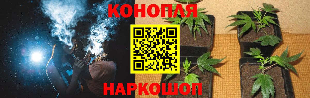 Конопля план  Вход с VPN  Марихуана сатива  Лобня 